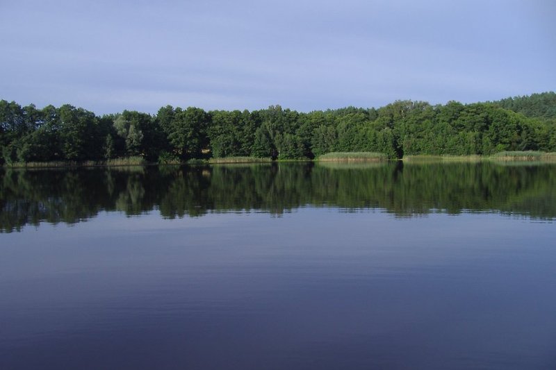 Viele Seen in der Nähe sehr gute Angelmöglichkeit