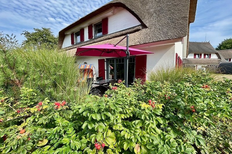 Garten mit Bäumen, Sträuchern und Blumen vor dem Haus.