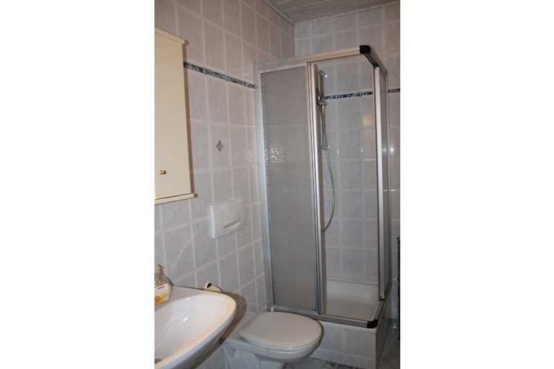Badkamer 2 met douche en toilet