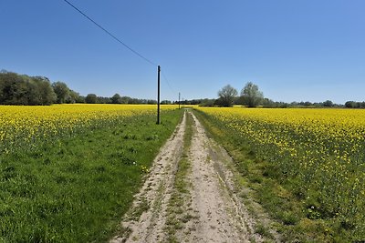 Feriendomizil im Lieper Winkel