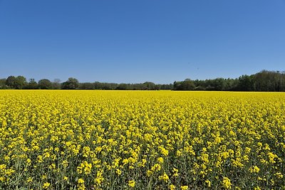 Feriendomizil im Lieper Winkel