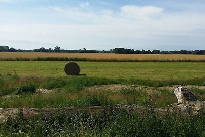 Feriendomizil im Lieper Winkel