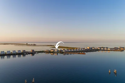 Harbour Lodge