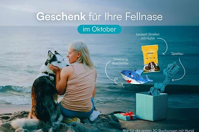 Haus am Meer
