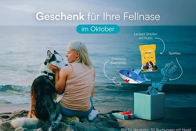 StrandLiebe