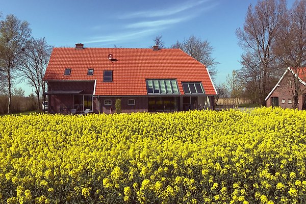 Ferienhaus Neuharlingersiel