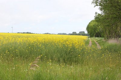 Lüttje Landstee Vööreen