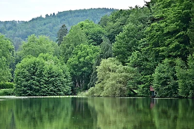 Villa "Haus Hoheneck" in Bad Sachsa