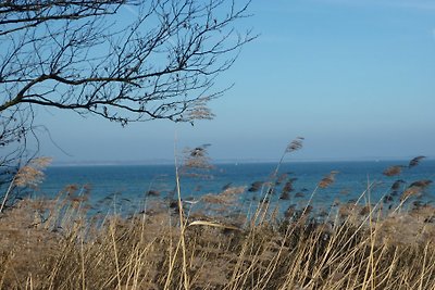 Vakantiehuis Ontspannende vakantie Blekendorf