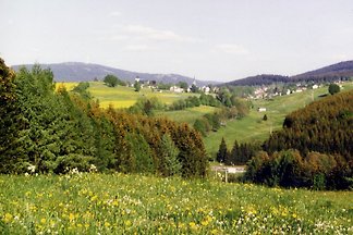 Gästehaus Hasenöhrl