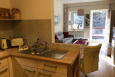Vakantiewoningen Schwarzatal