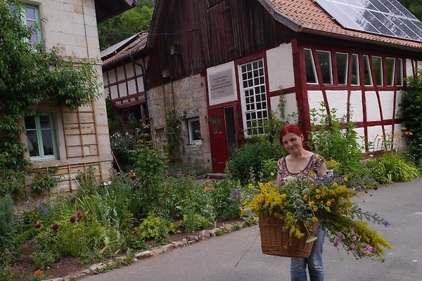 Frau G. Engert Frau G. Engert