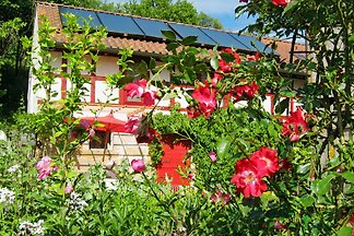 Atelierhaus bei den 3 Quellen
