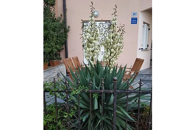 Casa Olea