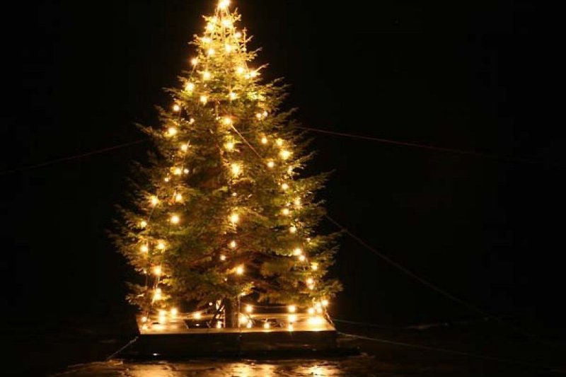 Schwimmender Weihnachtsbaum im Hafen