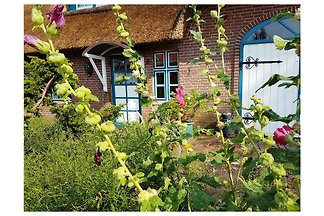 Haushälfte unter Reet "Deichkrabbe"