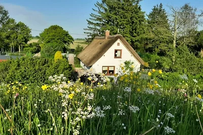Il cottage con il tetto di paglia sulla diga