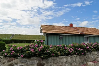 Lütt Diekhus, Sauna, Kamin, WLAN,