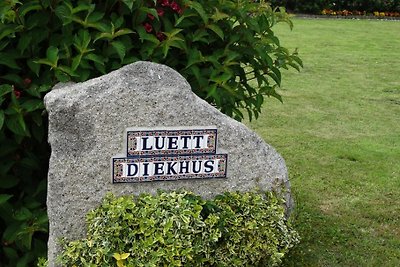 Lütt Diekhus, sauna, camino, WLAN,