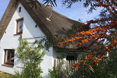 Il cottage con il tetto di paglia sulla diga