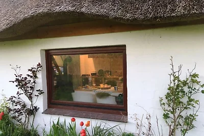Il cottage con il tetto di paglia sulla diga