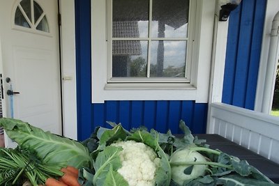 Blauw huis op de Noordzeedijk, open haard,