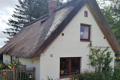The thatched cottage on the dyke