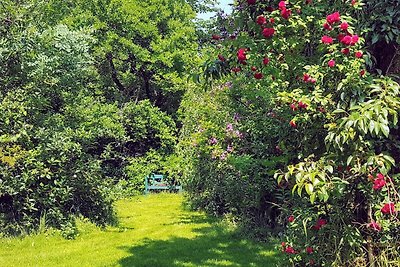 Urlaub auf der Warft - mit Haustier