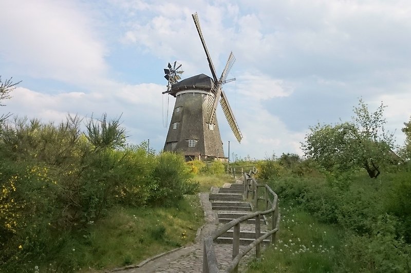 Benzer Holländermühle 