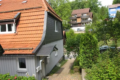 Zur Taube