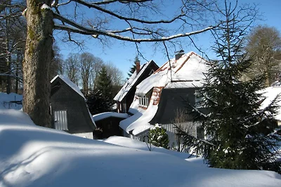 Zur Taube