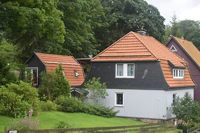 Zur Taube
