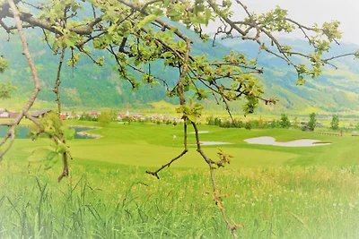 Green Apart Uderns - Apart Alpin
