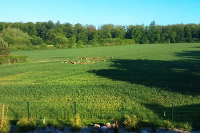 Ferienhäuser Spitzer Waldhaus
