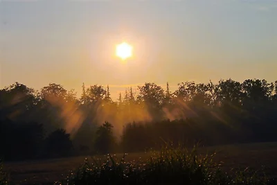 Ferienhäuser Spitzer Waldhaus