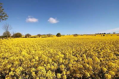 Ferienhäuser Spitzer Landhaus