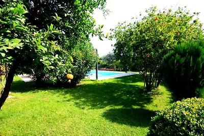 VILLA ELVIRA relax e quiete