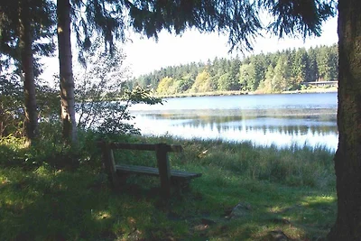 **** Ferienhaus Waldseebad