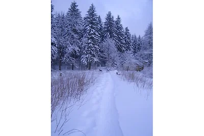 **** Ferienhaus Waldseebad