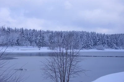 **** Ferienhaus Waldseebad