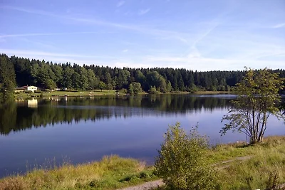 **** Ferienhaus Waldseebad