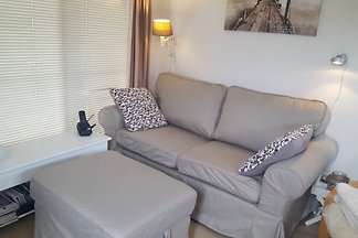 Das Seepferdchen, Texel