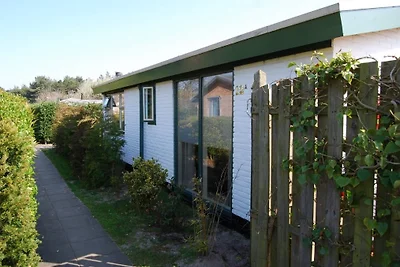 Das Seepferdchen, Texel