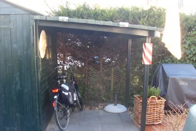 Das Seepferdchen, Texel
