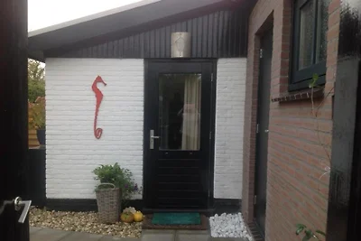 Das Seepferdchen, Texel