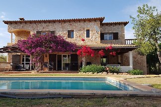 Finca Palmeras 6