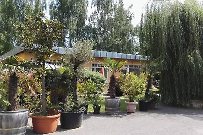 Appartamento vacanze Steiger