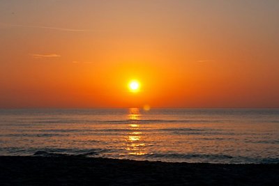 C21 studio aan het strand met terras