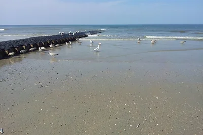 Ausblicke hinterm Deich Ausblicke hinterm Deich