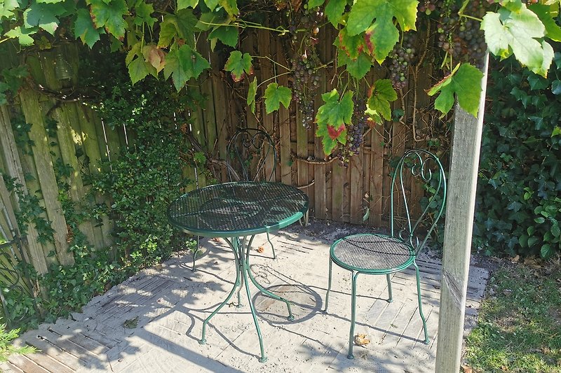 Prieel met 2 stoeltje en tafeltje. onder een druivenrank